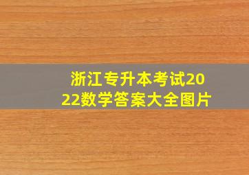 浙江专升本考试2022数学答案大全图片