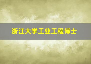 浙江大学工业工程博士