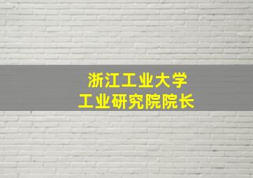 浙江工业大学工业研究院院长