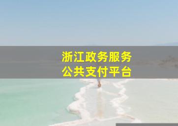 浙江政务服务公共支付平台