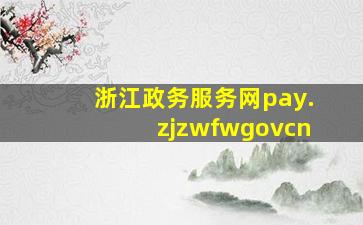 浙江政务服务网pay.zjzwfwgovcn