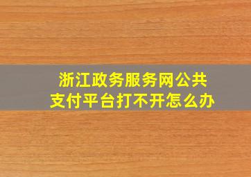 浙江政务服务网公共支付平台打不开怎么办