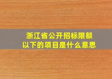 浙江省公开招标限额以下的项目是什么意思