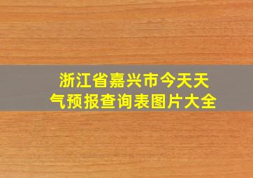 浙江省嘉兴市今天天气预报查询表图片大全