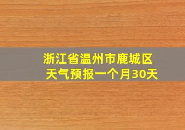 浙江省温州市鹿城区天气预报一个月30天