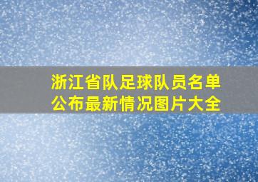 浙江省队足球队员名单公布最新情况图片大全