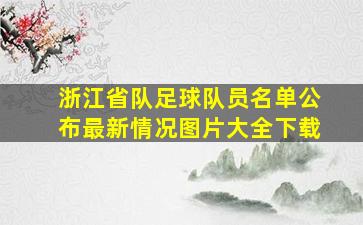 浙江省队足球队员名单公布最新情况图片大全下载