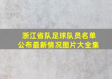 浙江省队足球队员名单公布最新情况图片大全集