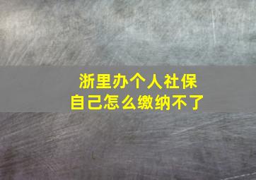 浙里办个人社保自己怎么缴纳不了