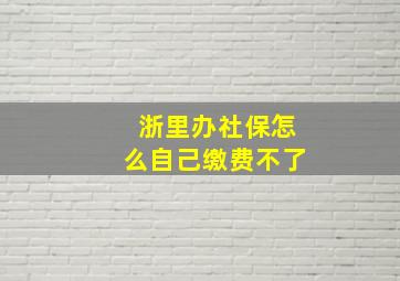 浙里办社保怎么自己缴费不了