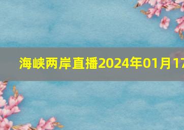 海峡两岸直播2024年01月17