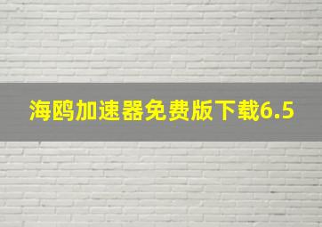 海鸥加速器免费版下载6.5