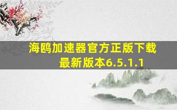 海鸥加速器官方正版下载最新版本6.5.1.1