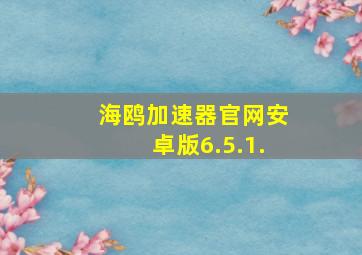 海鸥加速器官网安卓版6.5.1.