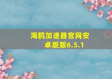 海鸥加速器官网安卓版版6.5.1