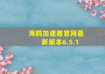 海鸥加速器官网最新版本6.5.1