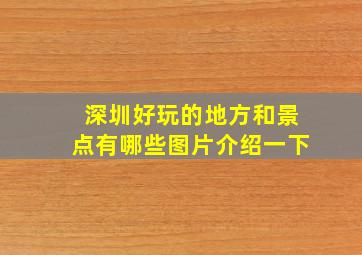 深圳好玩的地方和景点有哪些图片介绍一下