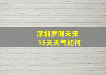 深圳罗湖未来15天天气如何