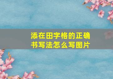 添在田字格的正确书写法怎么写图片