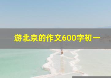 游北京的作文600字初一