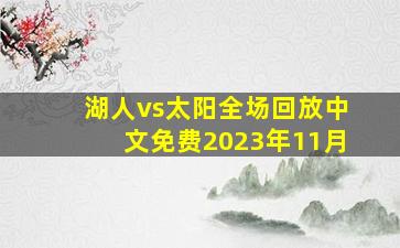 湖人vs太阳全场回放中文免费2023年11月