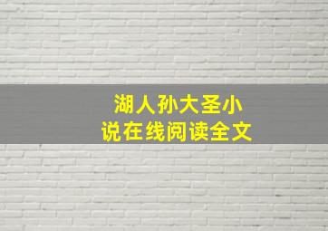 湖人孙大圣小说在线阅读全文