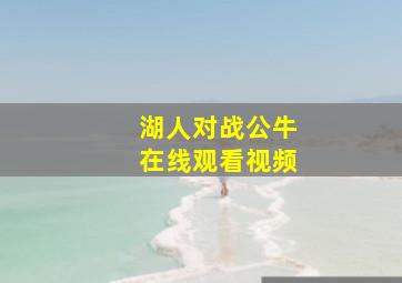 湖人对战公牛在线观看视频