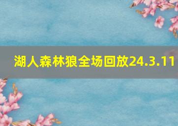 湖人森林狼全场回放24.3.11