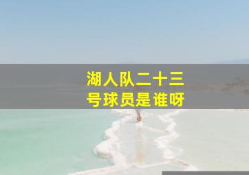 湖人队二十三号球员是谁呀