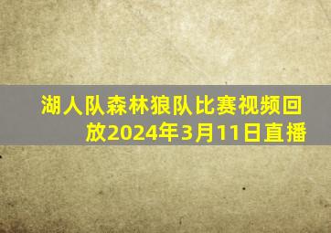 湖人队森林狼队比赛视频回放2024年3月11日直播