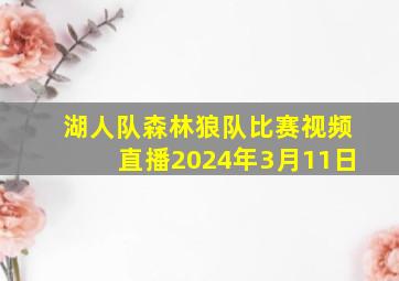 湖人队森林狼队比赛视频直播2024年3月11日