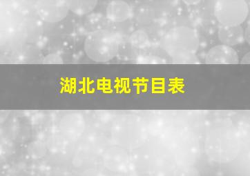 湖北电视节目表