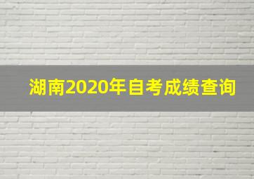 湖南2020年自考成绩查询