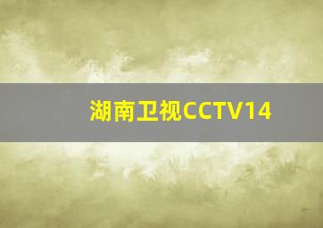 湖南卫视CCTV14