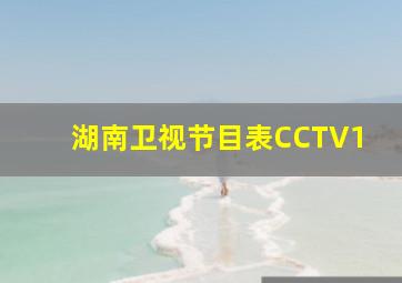 湖南卫视节目表CCTV1