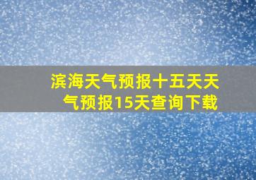 滨海天气预报十五天天气预报15天查询下载