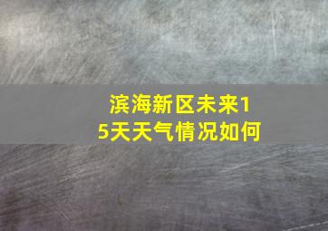 滨海新区未来15天天气情况如何