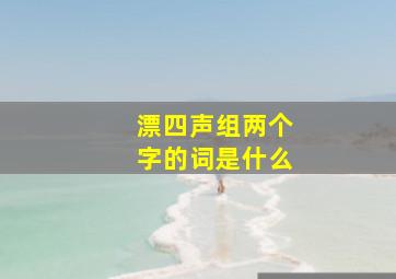 漂四声组两个字的词是什么