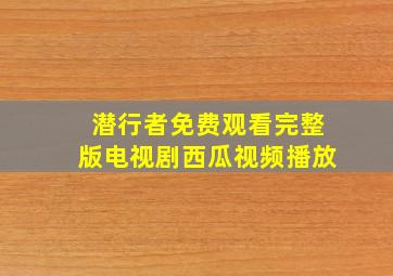 潜行者免费观看完整版电视剧西瓜视频播放