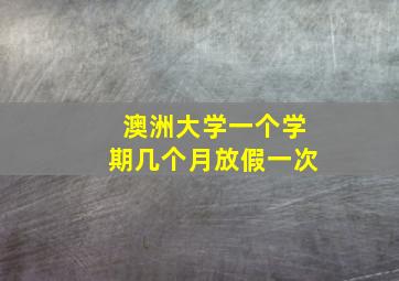 澳洲大学一个学期几个月放假一次