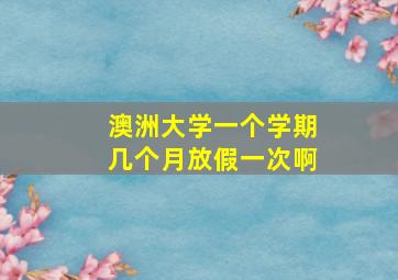 澳洲大学一个学期几个月放假一次啊