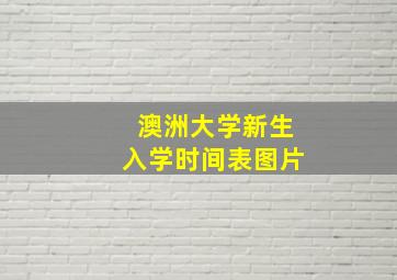 澳洲大学新生入学时间表图片