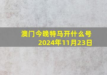 澳门今晚特马开什么号2024年11月23日