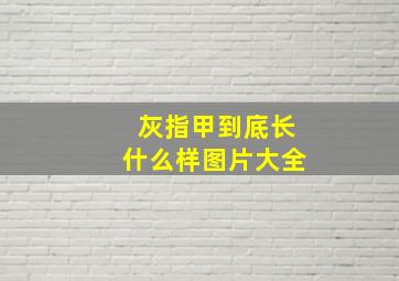 灰指甲到底长什么样图片大全