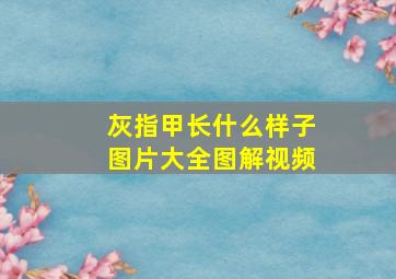 灰指甲长什么样子图片大全图解视频