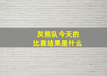 灰熊队今天的比赛结果是什么