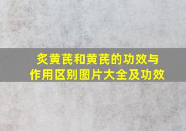 炙黄芪和黄芪的功效与作用区别图片大全及功效