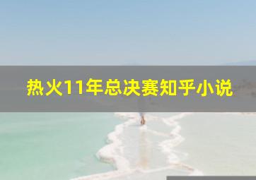 热火11年总决赛知乎小说