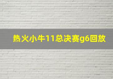 热火小牛11总决赛g6回放