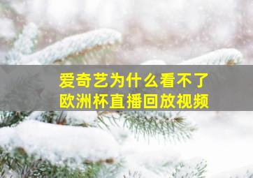 爱奇艺为什么看不了欧洲杯直播回放视频